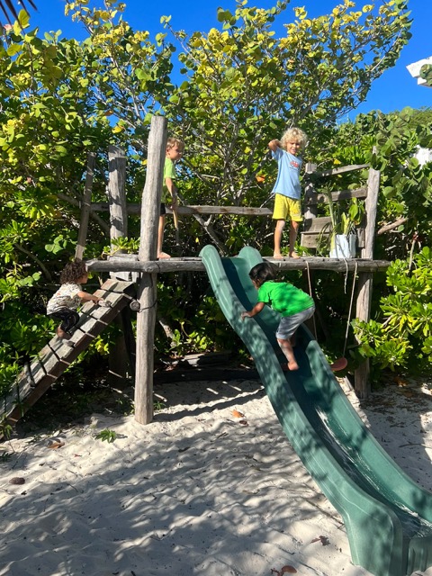 Niños jugando en la casa del árbol y el tobogán