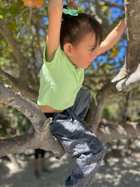 Niña trepando entre las ramas