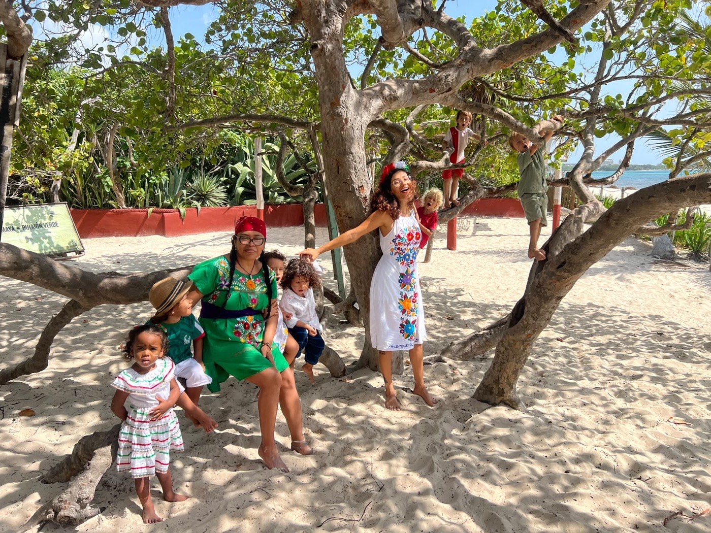 Maestras y niños bajo el árbol junto al mar