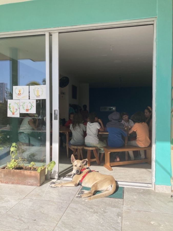 Un perro descansa frente al aula mientras los niños comen