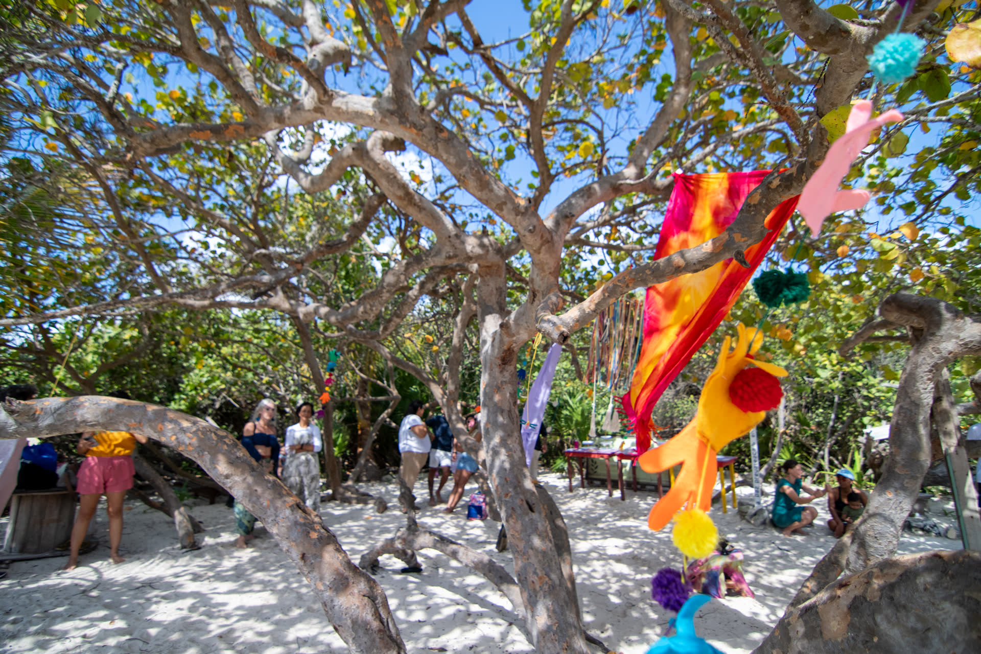 Comunidad educativa Yoolo'ob en Playa del Carmen